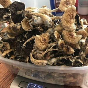 Buy LSD Online UK