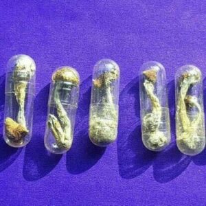 Mushroom Capsules 250mg | Microdose Mushrooms UK